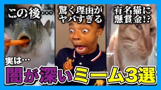 The Shocking Truth Behind Viral Memes - YouTube