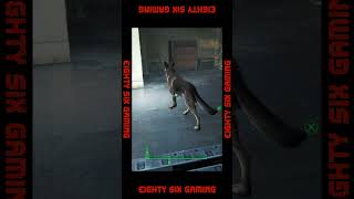 How i got the Cryolator in Vault 111 #gaming #falloutlore #gameplay #fallout #fallout4 #games