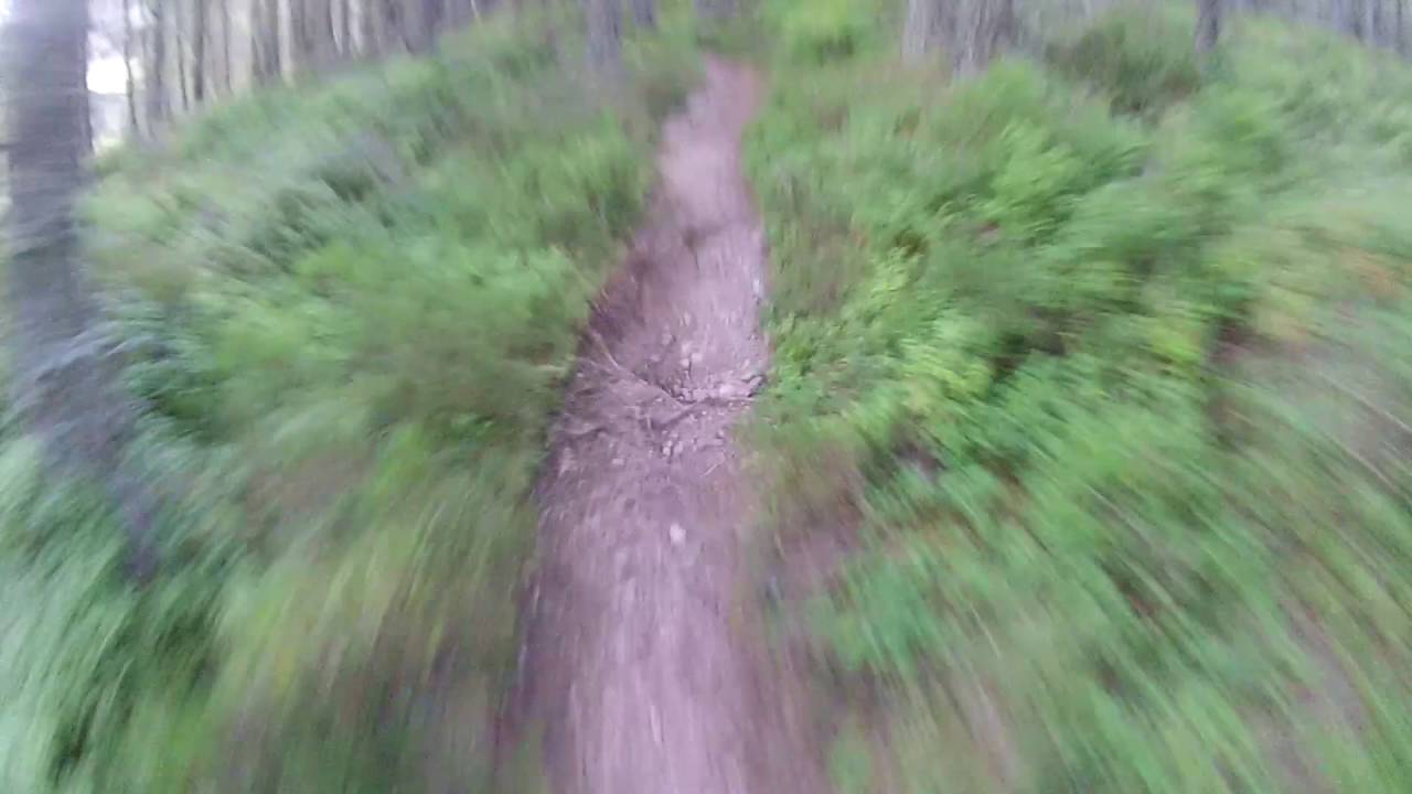 Fungle Road Infection