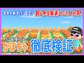【あつ森検証】実はかぼちゃの水やりは毎日じゃなくて○回でOK!100個苗を植えて出てくる色の割合も調べてみた!【あつまれどうぶつの森】