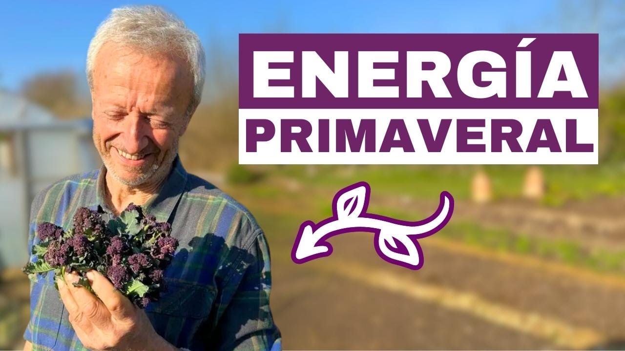 Al final del invierno, con clima primaveral