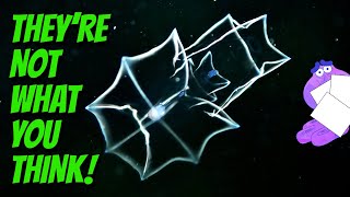 How Researching Siphonophores Almost Made Me Have A Nervous Breakdown | Alien Ocean