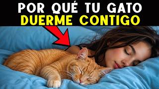 Si tu gato duerme contigo, está intentando decirte ESTO