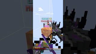 This skyways glitch makes you invincible #minecraft