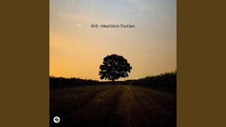 Meet Me In The Dark (Preview)