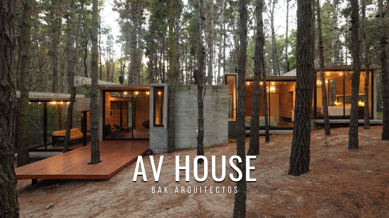 AV House – Minimal Concrete Home Hidden in Argentina’s Mar Azul Forest