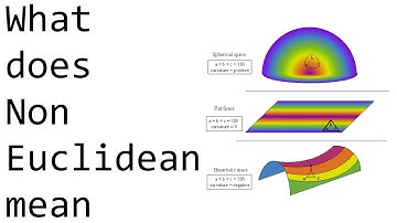 What does Non-Euclidean mean