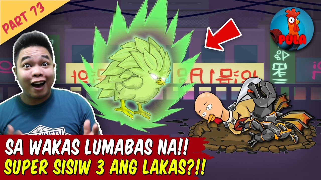 Lumabas na Super Sisiw 3 Napakalakas! - Manok na Pula