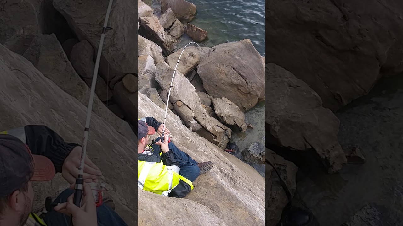 "I caught one!" - little Tyrell's first salmon