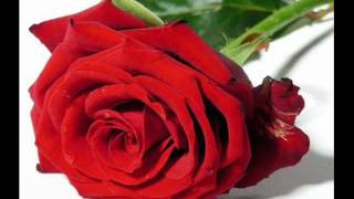 Beatriz Molina-Video