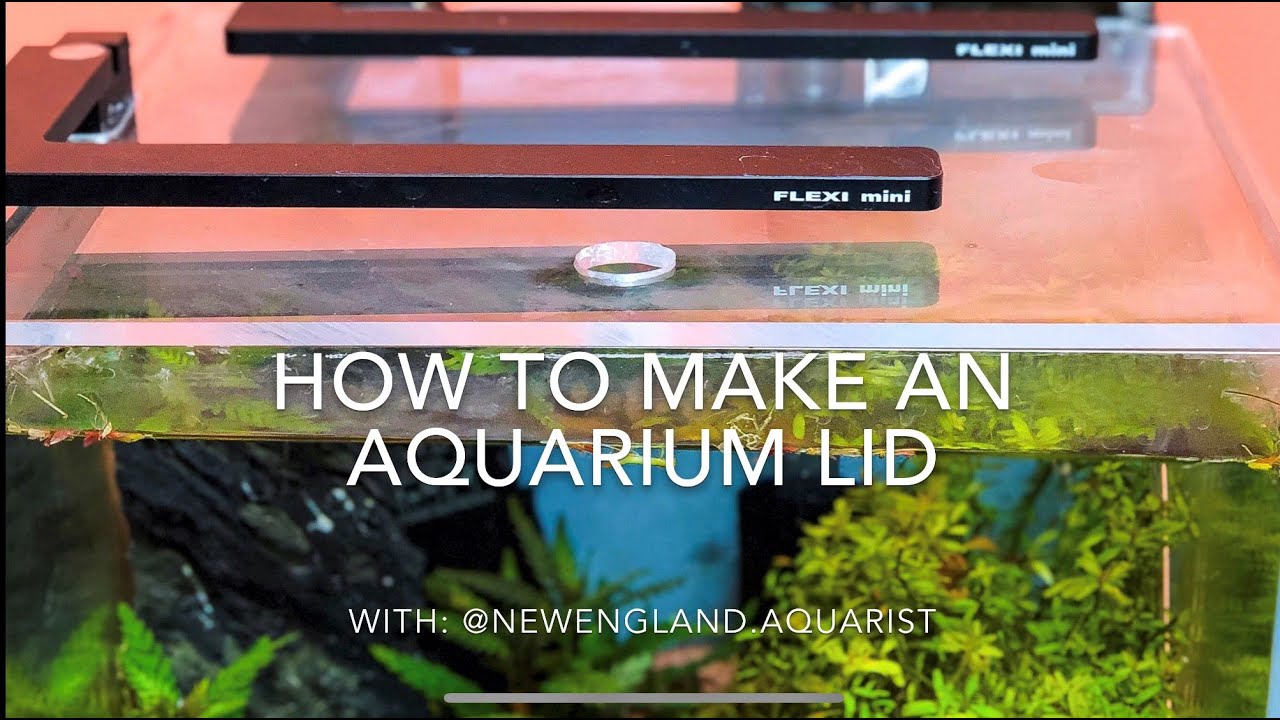 Glass Aquarium Lid - Custom Aquariums