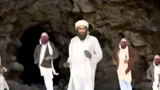 Funny Gif Montage!