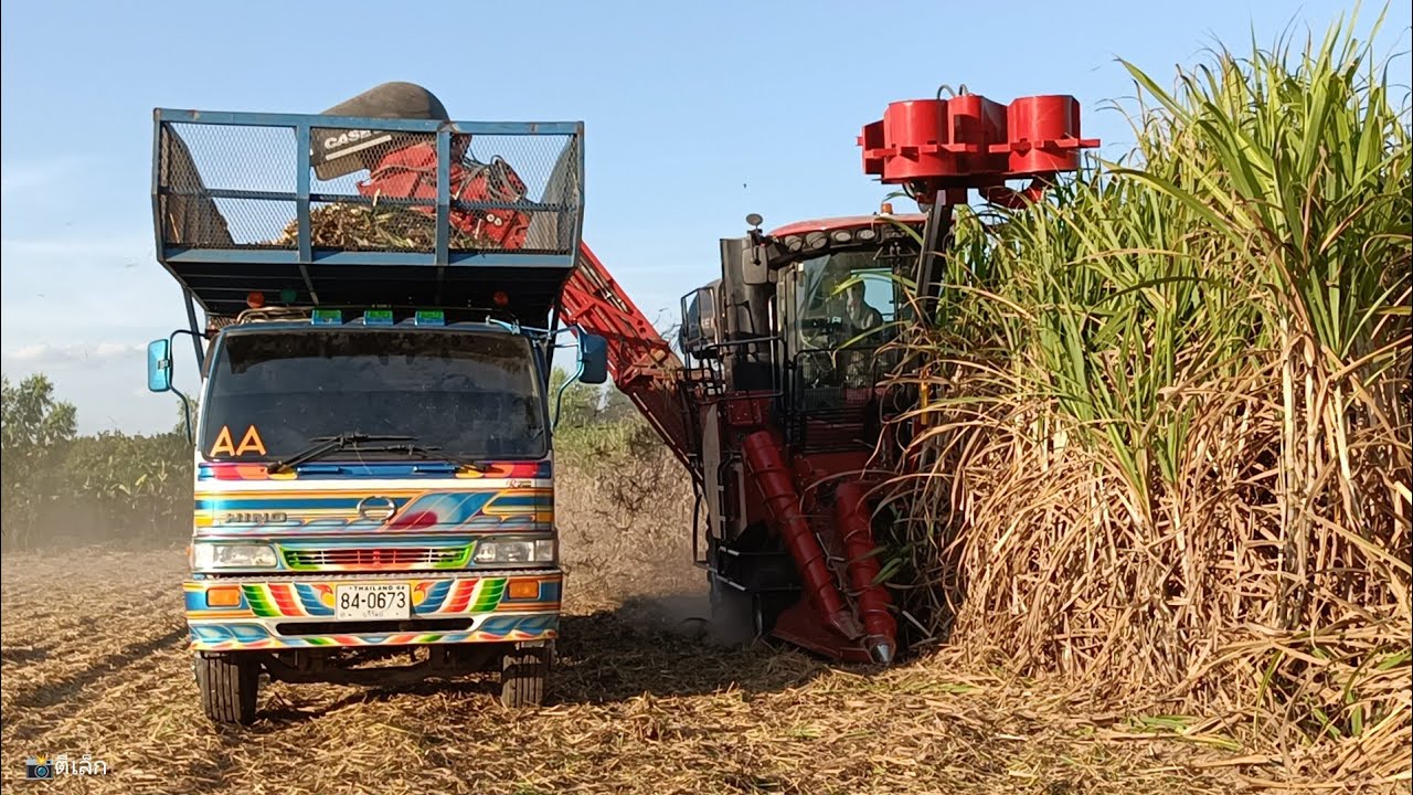 ใหม่เอี่ยม‼️สิบสามล้านห้า รถตัดอ้อยทัมงานเสี่ยพจ