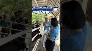 Jema Galanza, Alyssa Valdez, and Brooke Van Sickle feeding the calves | #OSTimeout