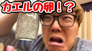 配信中にいきなりカエルの卵を画面に映すヒカキンww【ヒカキン/切り抜き】