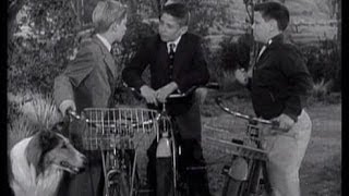 Lassie - Episode 56 - "Sunday School" - Season 2, #30 (aired 3/10/1956)