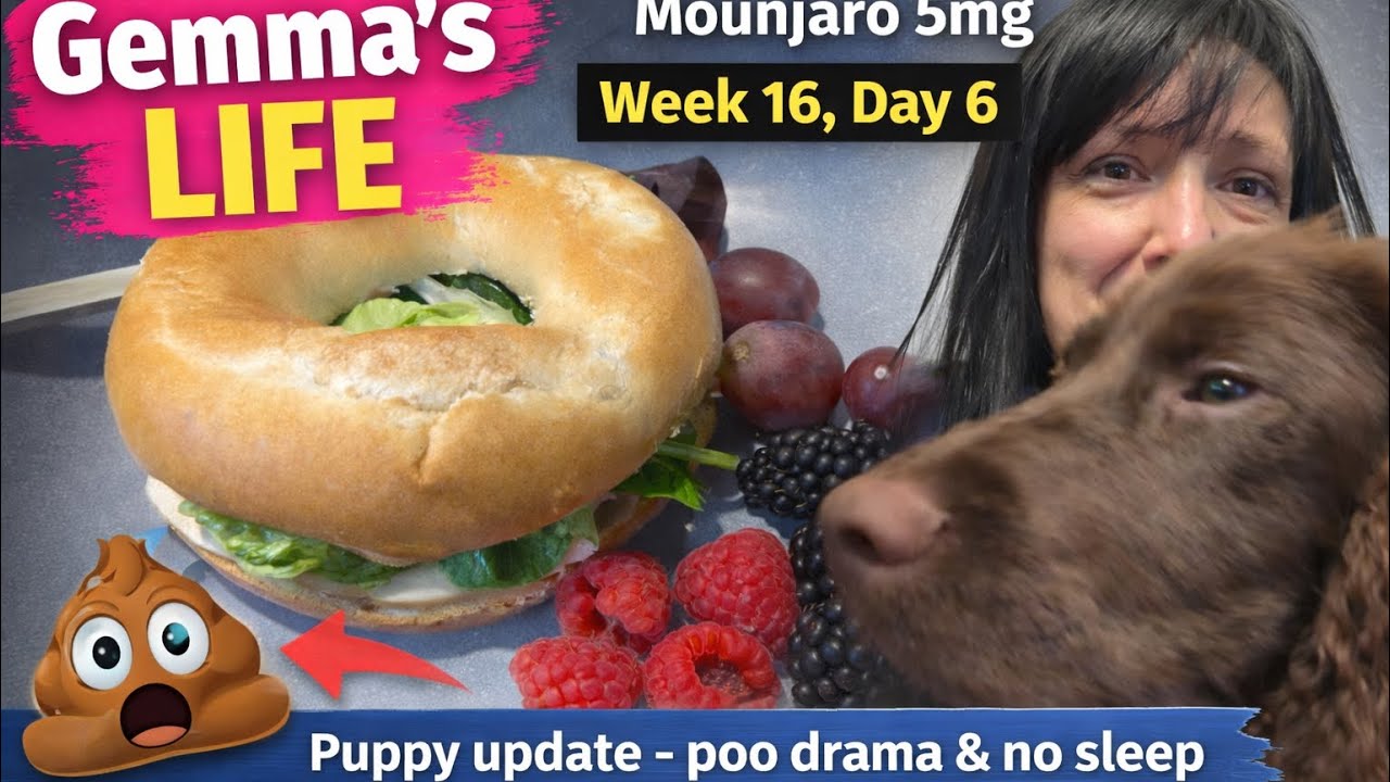 Get a puppy they said!!!!! Daily update & food today while on Mounjaro 5mg