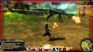 Guild Wars 2 Stress Test Gameplay