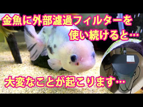 ⚠️mskページ アクアサイダーのイモリウム用40cm水槽 濾過室濾過器付き After using an external filter for my goldfish for two years