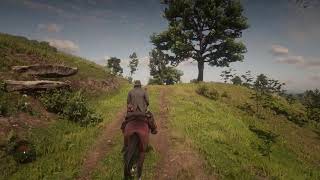 Arthur Morgan Hums A Song Red Dead Redemption 2