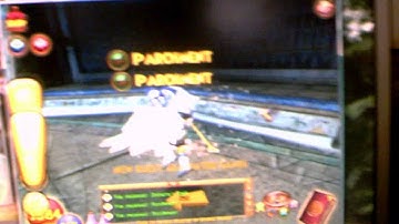 wizard101 walkthrough part 56 special deleivary and grand arena