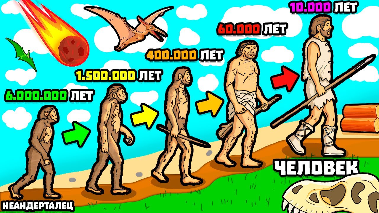 ЭВОЛЮЦИЯ ЧЕЛОВЕКА!
