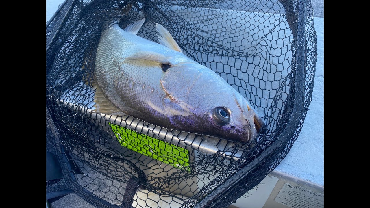 Mulloway School on the Hawkesbury