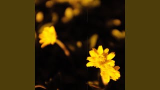утопия - макулатура