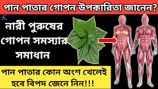 নারী পুরুষের সকল গোপন সমস্যার সমাধান করতে পারে এই পাতা|| পান পাতার গোপন উপকারিতা জানলে আপনিও খাবেন