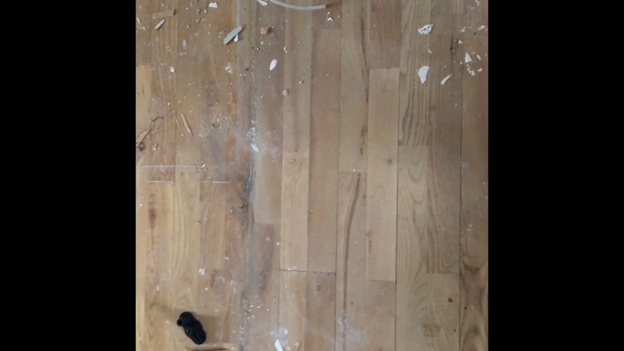 Knirkende gulve - sådan løser du det nemt.