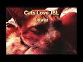 Cats Love JBL Lover (Slowed)