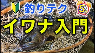 【初心者向け】神流川支流「中ノ沢」でフライフィッシングさぁ〜イワナ釣りに初チャレンジするわけ