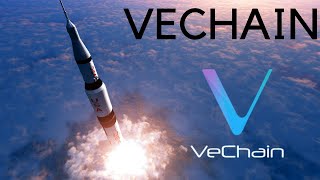 VeChain Partners With Bitgo For Institutional Adoption! VET Mass Adoption Incoming!