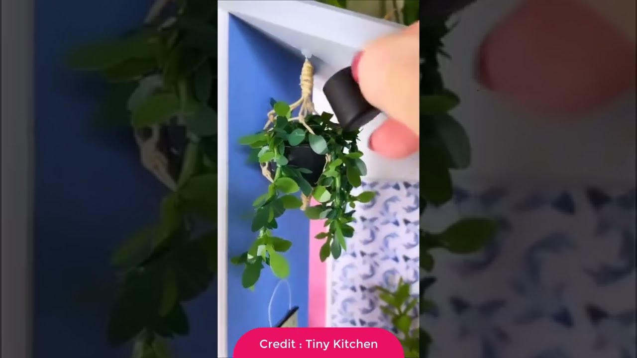 @coralstinyworlds tiny house makeover  a big statement miniature  @coralfish19