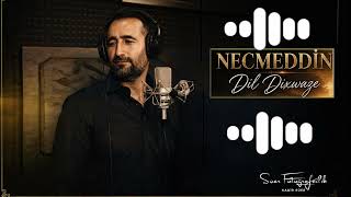 Necmeddin Dil Dixwaze (Akustik )