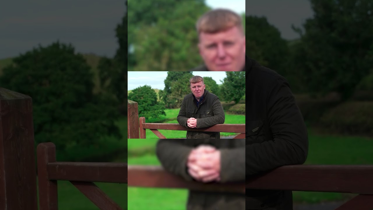 The 2024 Showreel #showreel #shorts #shortvideo #film #animation