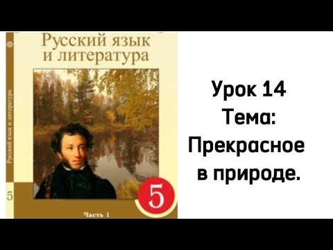 Русский язык 5
