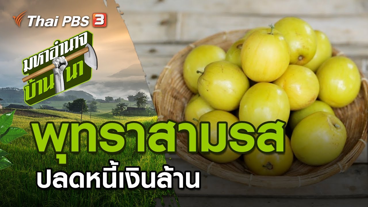 พุทราสามรส ปลดหนี้เงินล้าน : มหาอำนาจบ้านนา (20 ก.ย. 63)