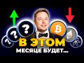 ТОП-7 Криптоактивов для инвестирования в 2022 году!