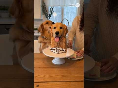 لا تلمس كعكتي