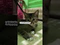 “Mama Eks sam kedatangan si embul lama ngak mau pulang