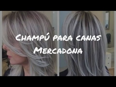 CHAMPÚ PARA CANAS MERCADONA /MATIZA TU PELO EN CASA - YouTube