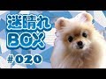 【BOX#20】１分足はお手つき足