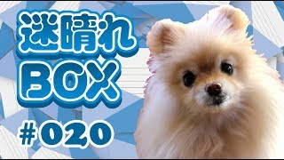 【BOX#20】１分足はお手つき足