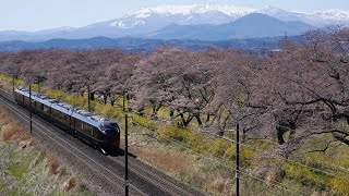 E655系5両 なごみ(和) 団体臨時 (2022/04/09)