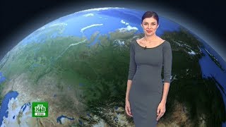 Евгения Неронская - "Прогноз погоды" (27.08.17)