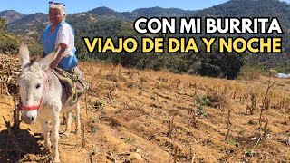 Thumbnail for "Me dijeron para que cuidas a ese viejo ahí déjalo 😔"