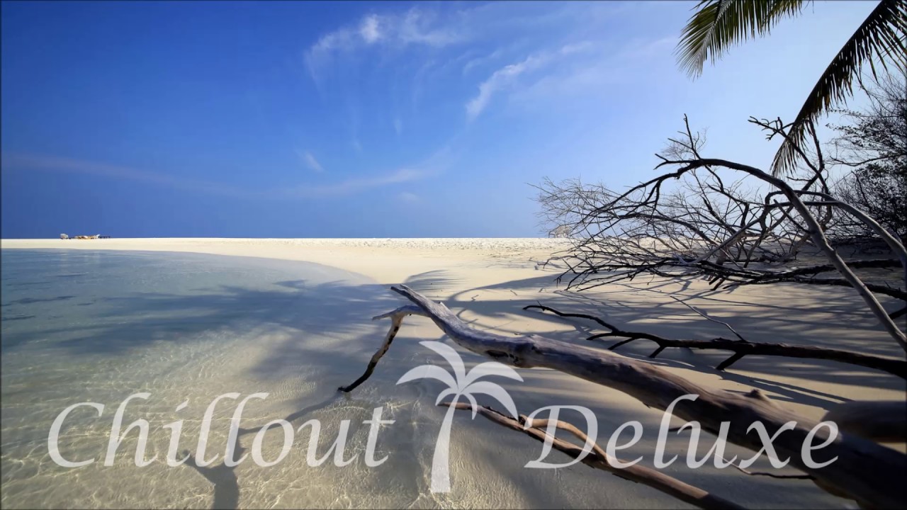 Darwin - On The Beach