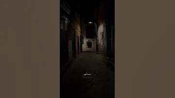 ماوين يكلولي تون شلون ماون عمار لكناني نشرت هذا المقطع لان گطع كلبي 