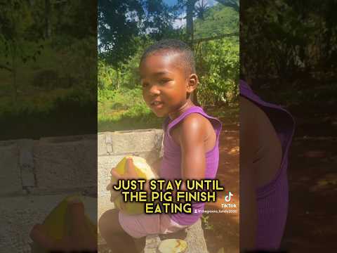 Nathan Please Watch The Pigs.